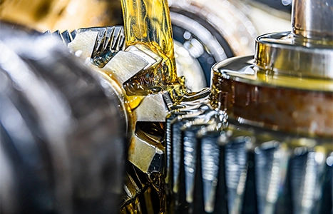 Corofy life at company image