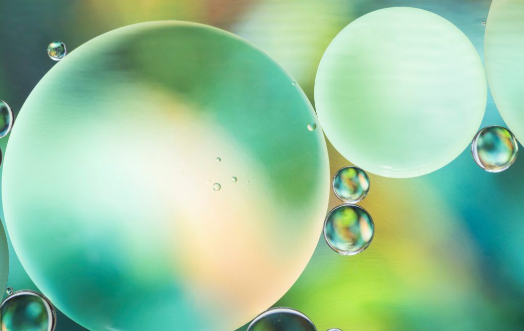 Friem America Inc life at company image