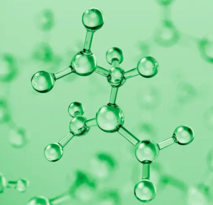 Friem America Inc life at company image