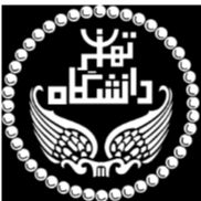 University Of Tehran