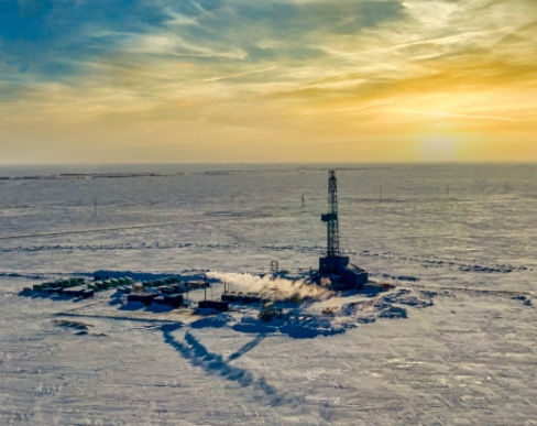 Vertex Downhole service description image