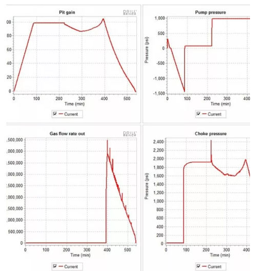 Wild Well service description image