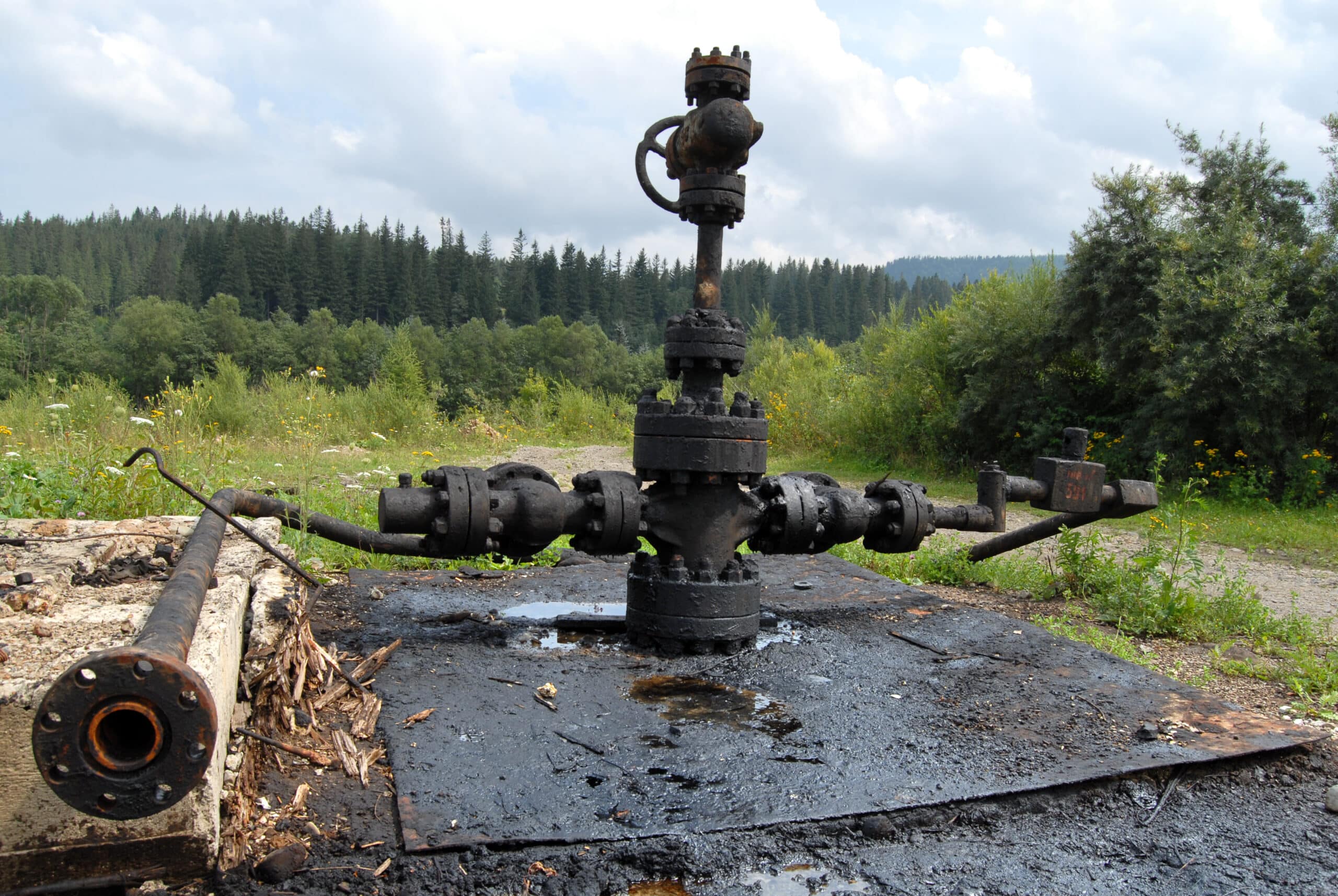 Geometrics Inc service description image