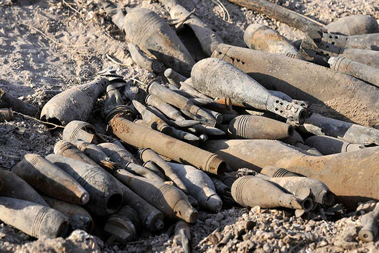 Geometrics Inc service description image