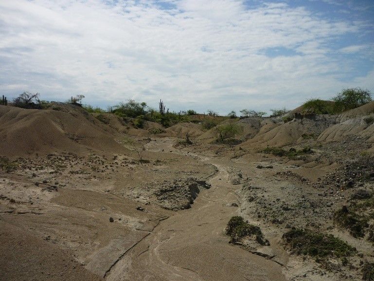 Ge OilEnergy service description image