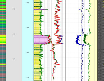 GeoSoftware service description image