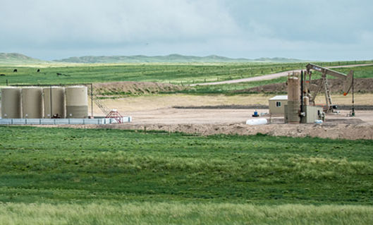 TRICON GEOPHYSICS INC service description image