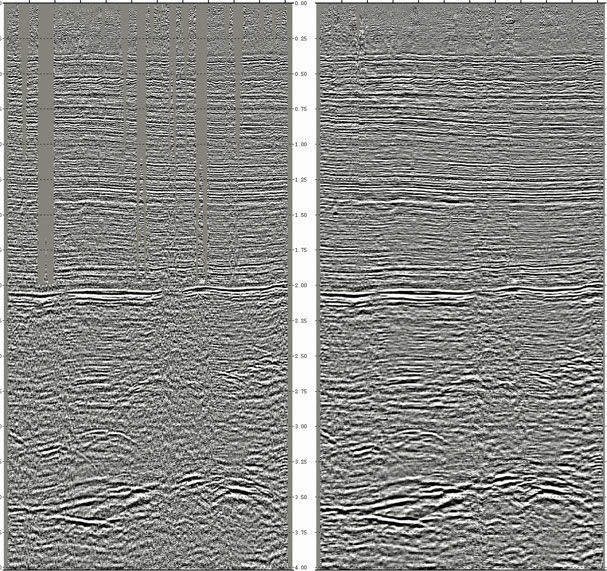 TRICON GEOPHYSICS INC service description image