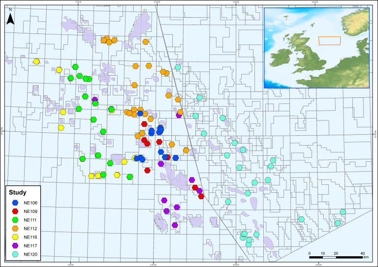 Chemostrat Inc. service description image