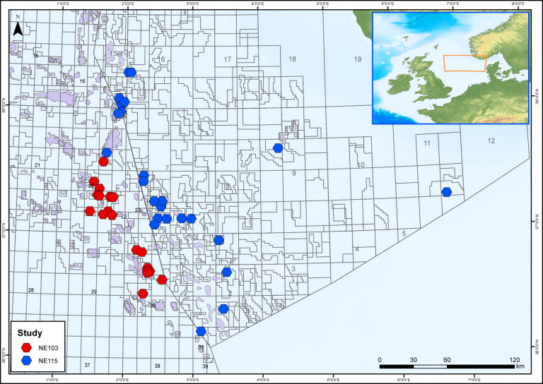 Chemostrat Inc. service description image