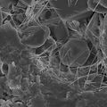 Core Mineralogy Labs service description image