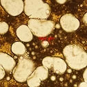 Core Mineralogy Labs service description image