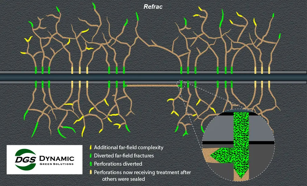 DYNAMIC GREEN SOLUTIONS service description image