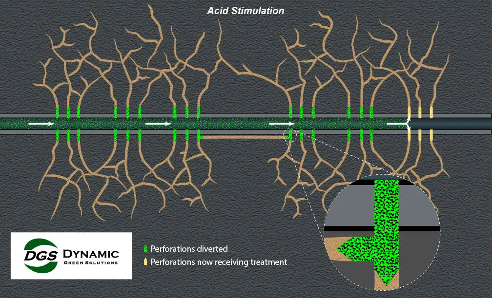 DYNAMIC GREEN SOLUTIONS service description image