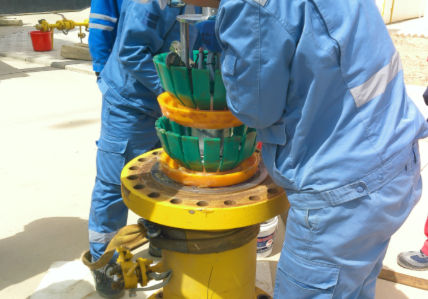 PIGPROX Inc service description image