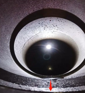 PIGPROX Inc service description image