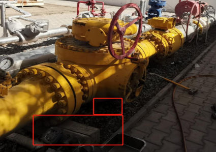 PIGPROX Inc service description image