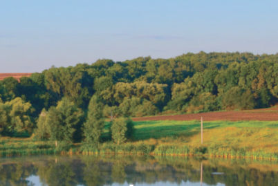 Eagle Environmental Group service description image