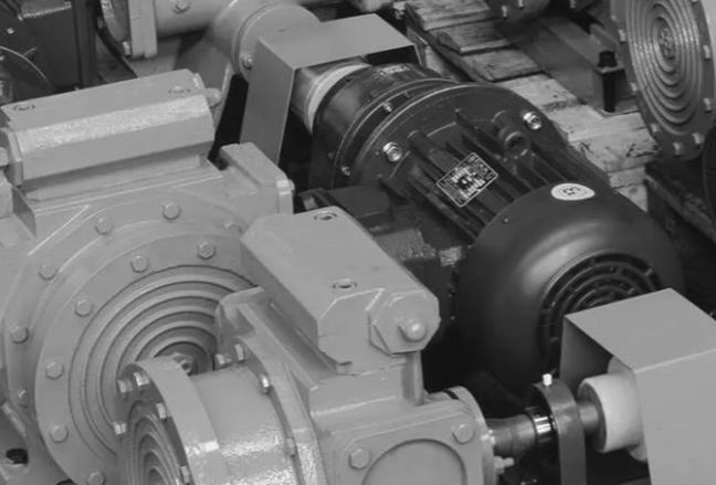 3P Prinz service description image