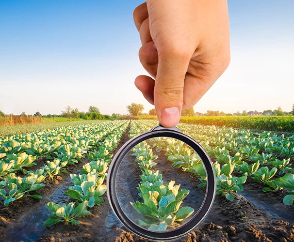 Corofy service description image