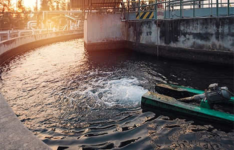 Corofy service description image