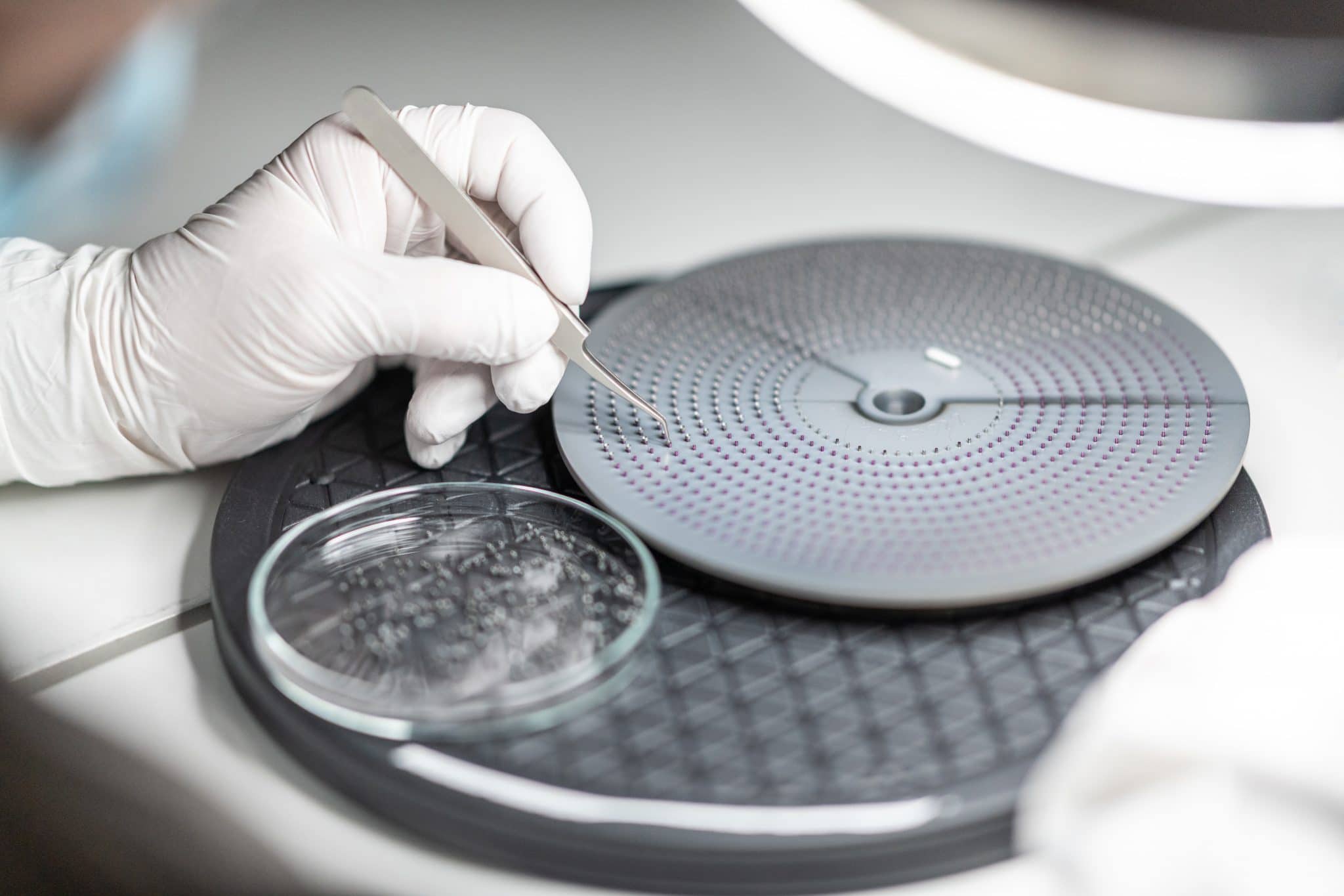 SCT service description image