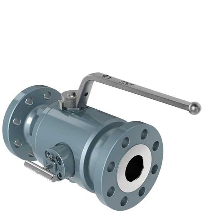 SRI | Sud Robinetterie Industrie service description image