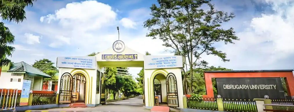 Dibrugarh University what we do image