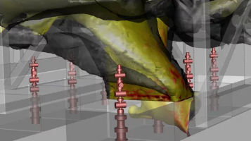 Wild Well what we do image