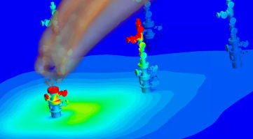 Wild Well what we do image