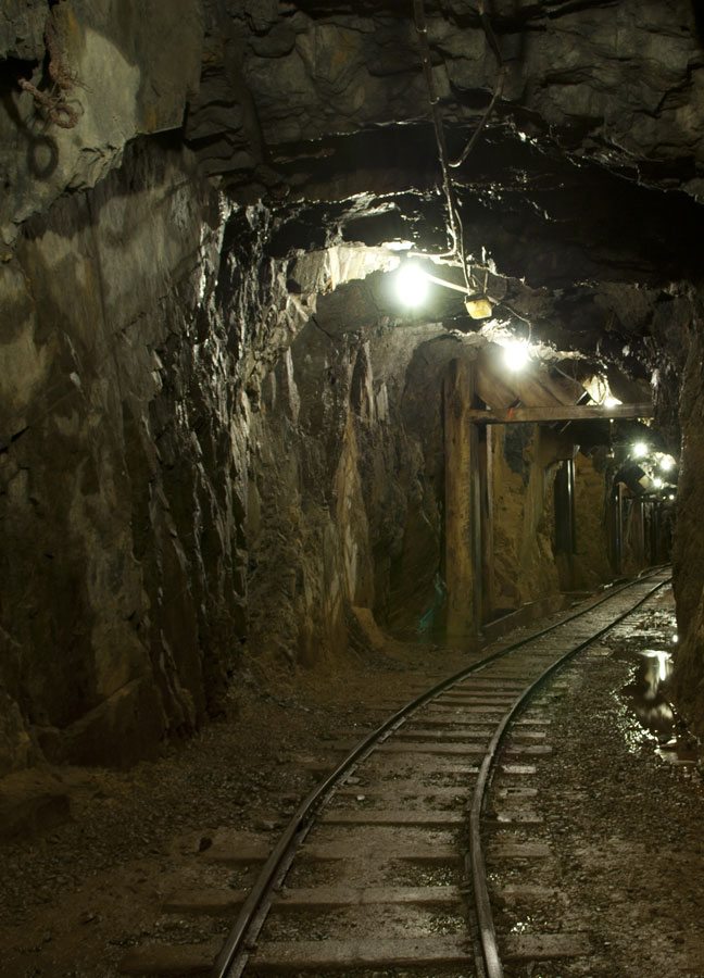 AMPLIFIED GEOCHEMICAL IMAGING, LLC what we do image