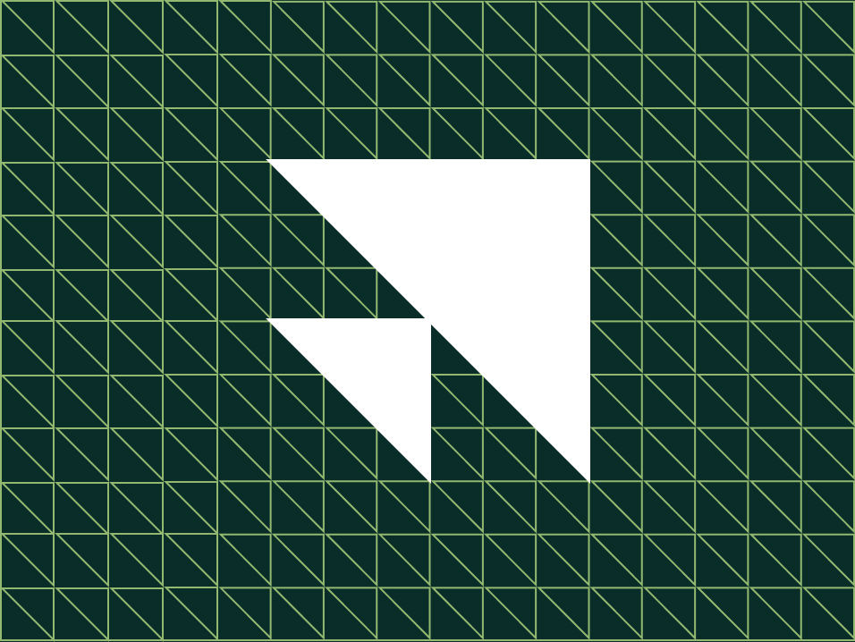 Flyscan what we do image