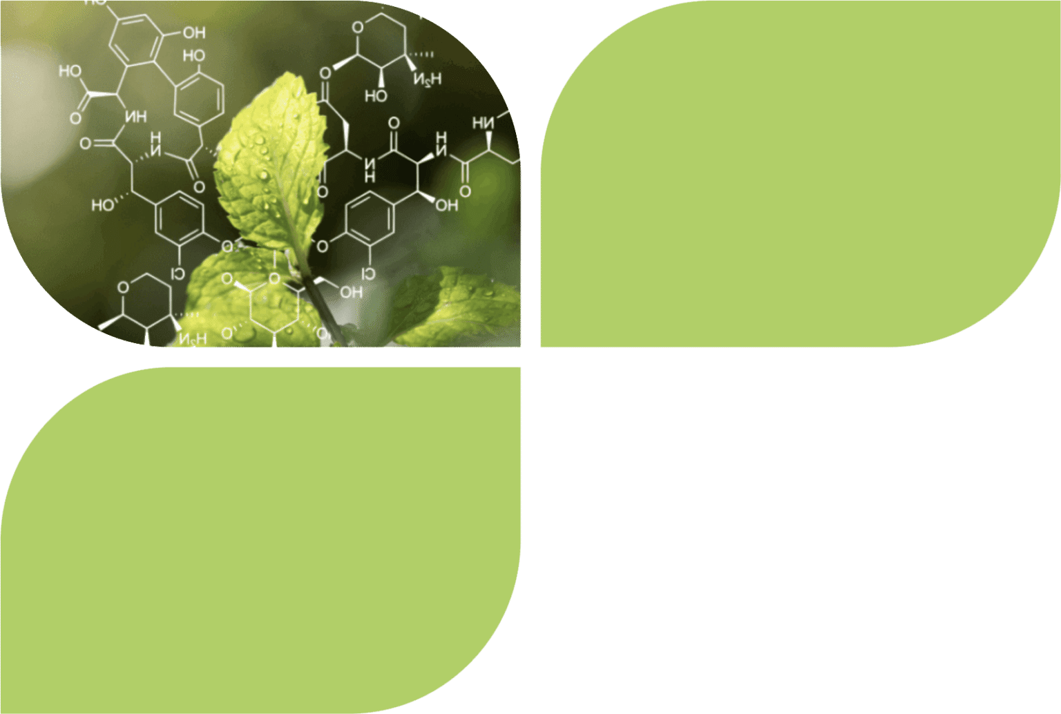 Integrity Biochem what we do image