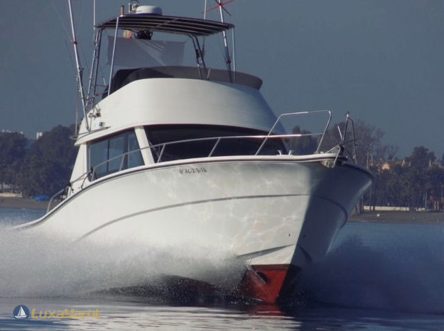 Red Tide charter yacht