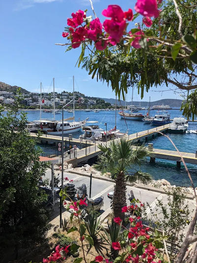 View of Bodrum Harbour with boats docked at the marina and flowers in the foreground