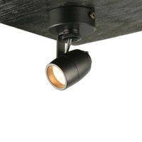 Gizmo CCS mounted in surface mounted ceiling cup