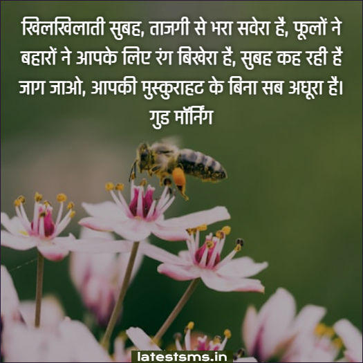 friday good morning images in hindi