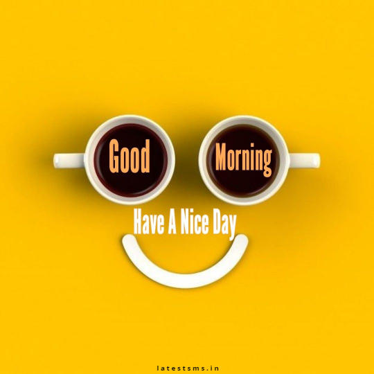 good morning have a nice day image