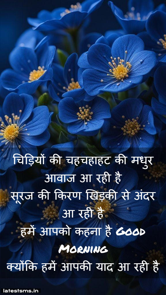 Hindi good morning images