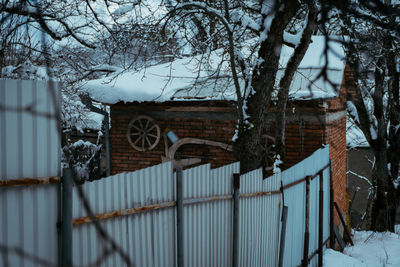 Edited-00425.jpg