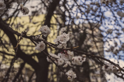 Edited-00836.jpg
