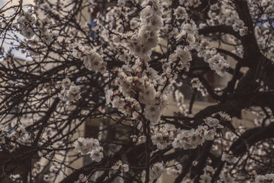 Edited-00838.jpg