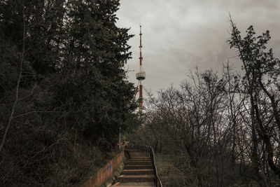 Edited-00863.jpg