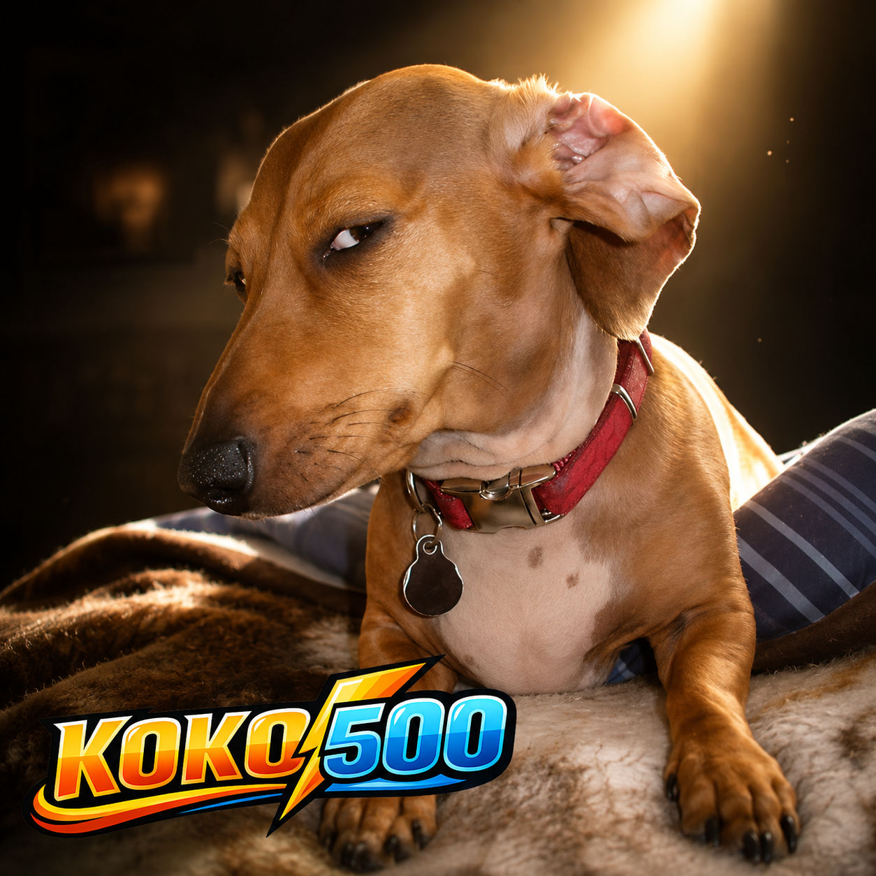KOKO500 ⚡ Link Alternatif Slot Gacor Anti Lemot Terbaru 2026