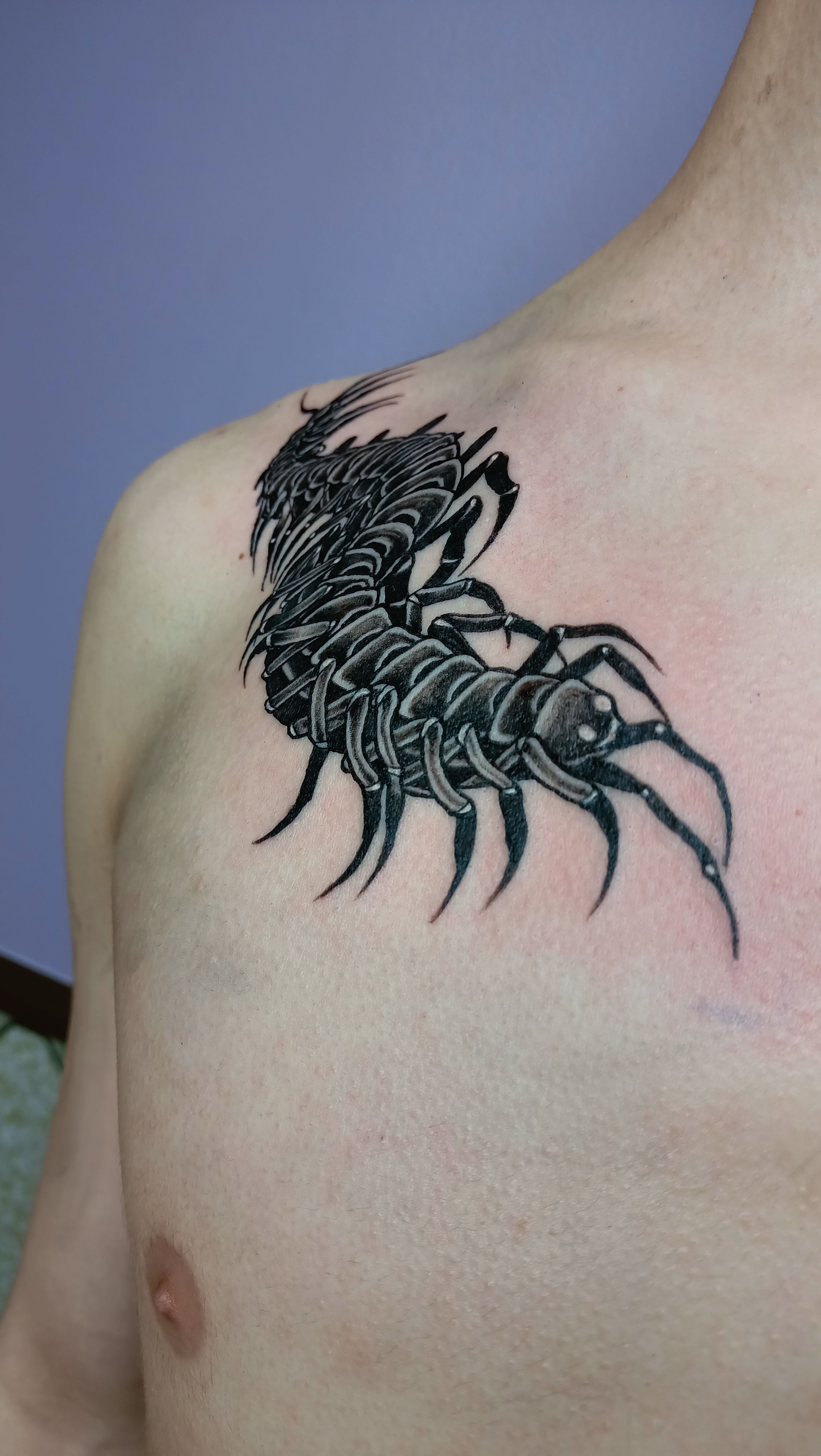 Trabajo de Micropigmentación 5