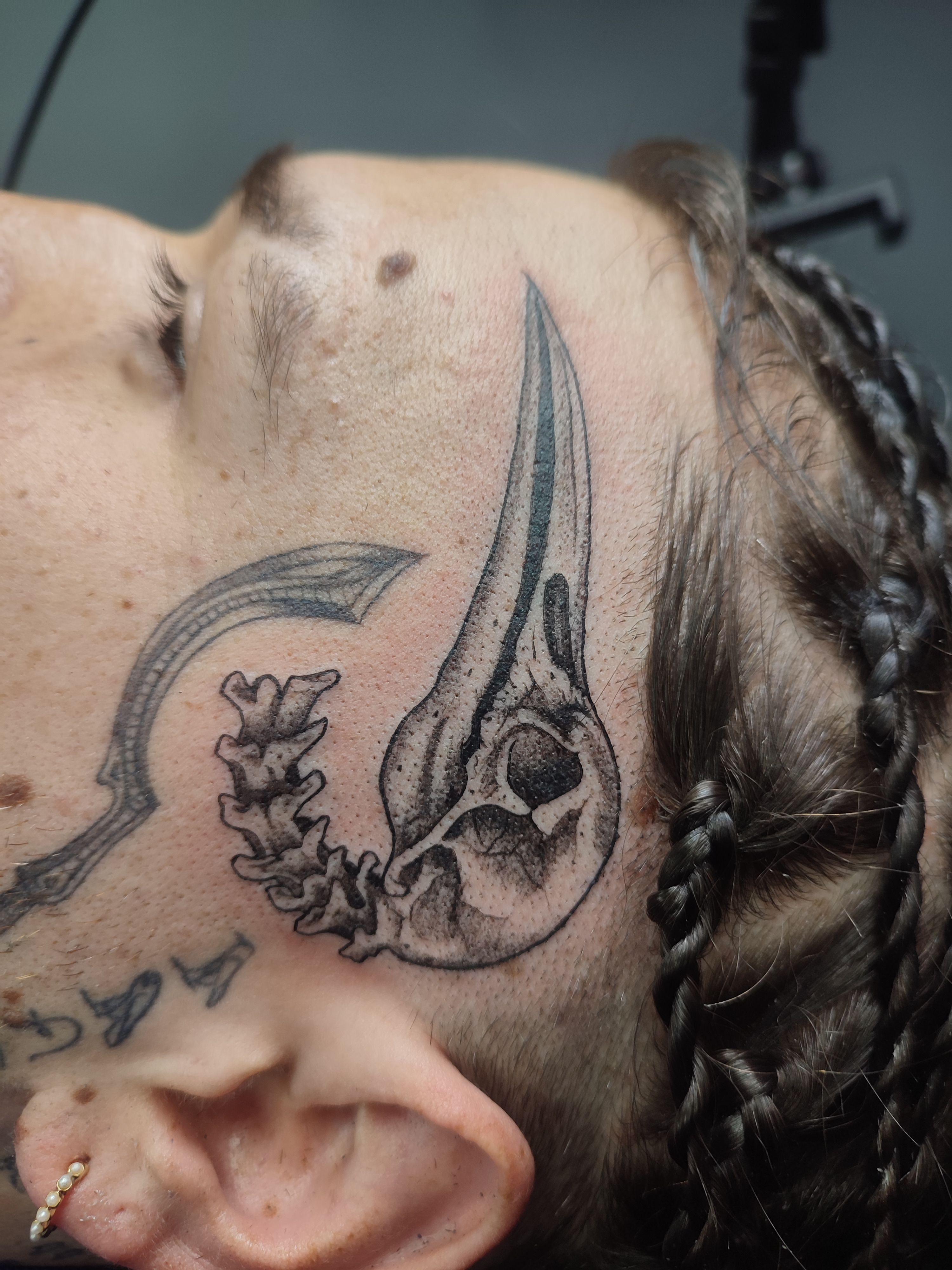 Trabajo de Micropigmentación 3