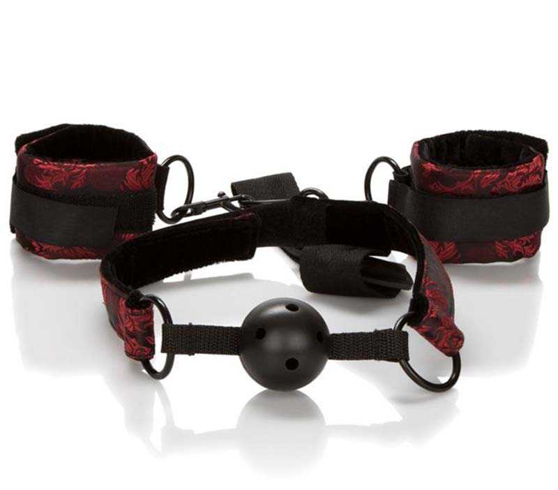 bondage ball gag