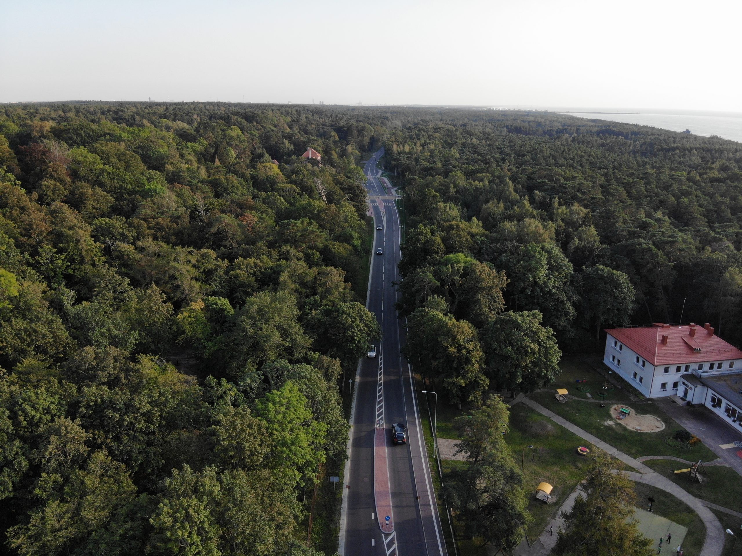 Savivaldybė tikina, kad Girulių miškas nebus urbanizuotas, tačiau architektas R. Gailius rodo vietas, kur, jo manymu, galiausiai išdygs būstai turtingiems žmonėms/Martyno Vainoriaus (Atvira Klaipėda) ir Bendra.lt nuotr.