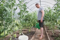 Grupinio gyvenimo namų gyventojai patys prižiūri šiltnamį. /