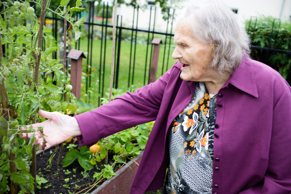 „Senjorų darželio“ lankytojai mėgsta laiką leisti pačių prižiūrimame sode. /